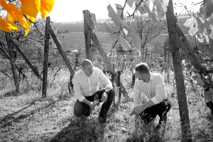 Vinohrad vinárstva DeLeva v Tekove